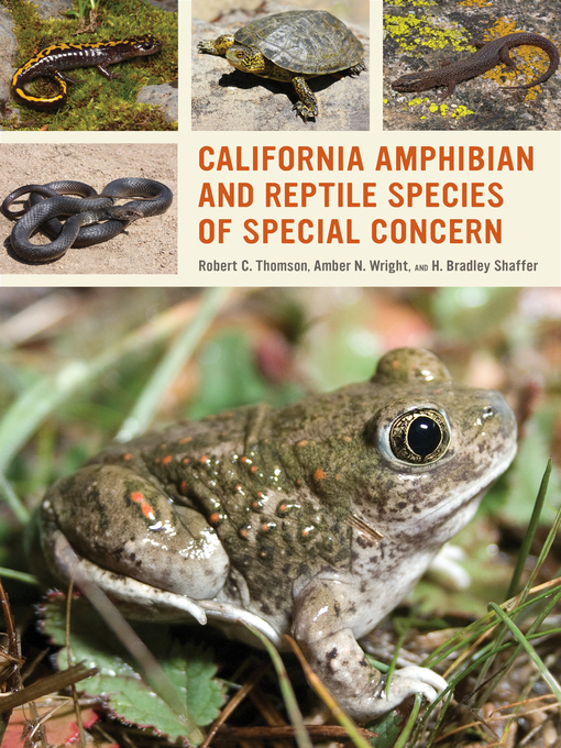 Title details for California Amphibian and Reptile Species of Special Concern by Robert C. Thomson - Available
